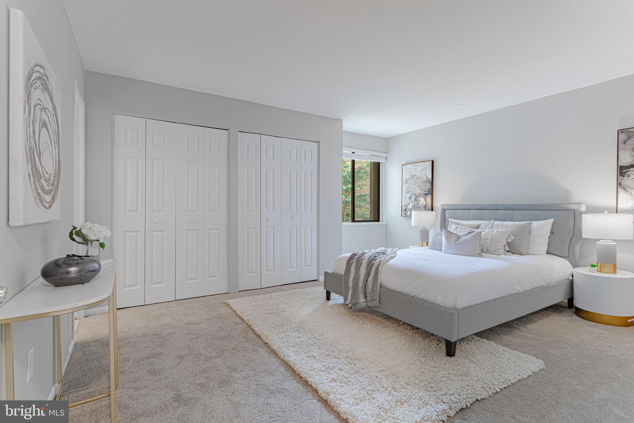 2115 Walsh View Terrace, Unit 8203 Silver Spring, MD 20902 - Photo 10 of 29