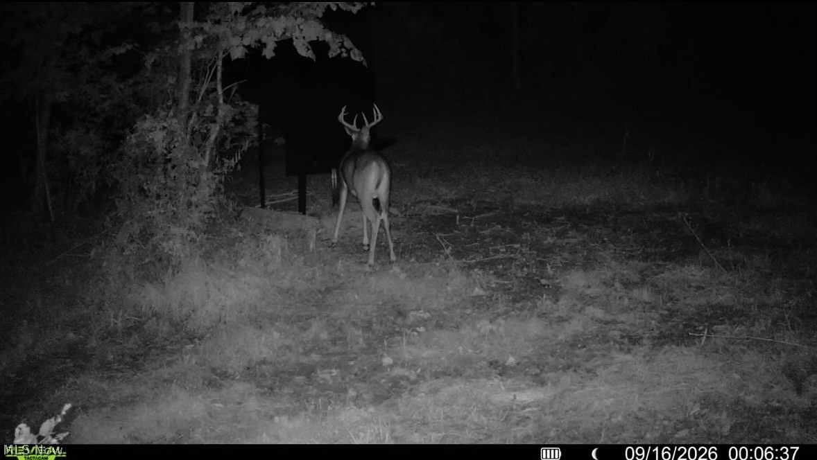 Spence Hill Road Caldwell, OH 43724 - Photo 41 of 49 Gallery Image 41
