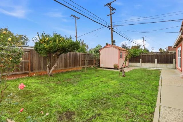 a view of a backyard with a garden and plants
