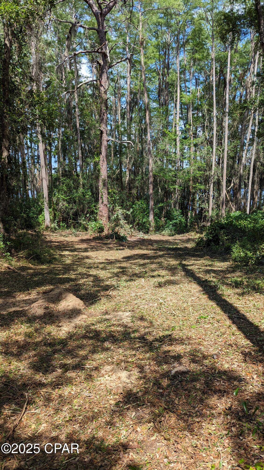 0 Moss Hill Road Chipley, FL 32428 - Photo 3 of 4