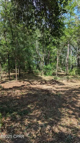 $41,000 | 0 Moss Hill Road, Chipley, FL 32428