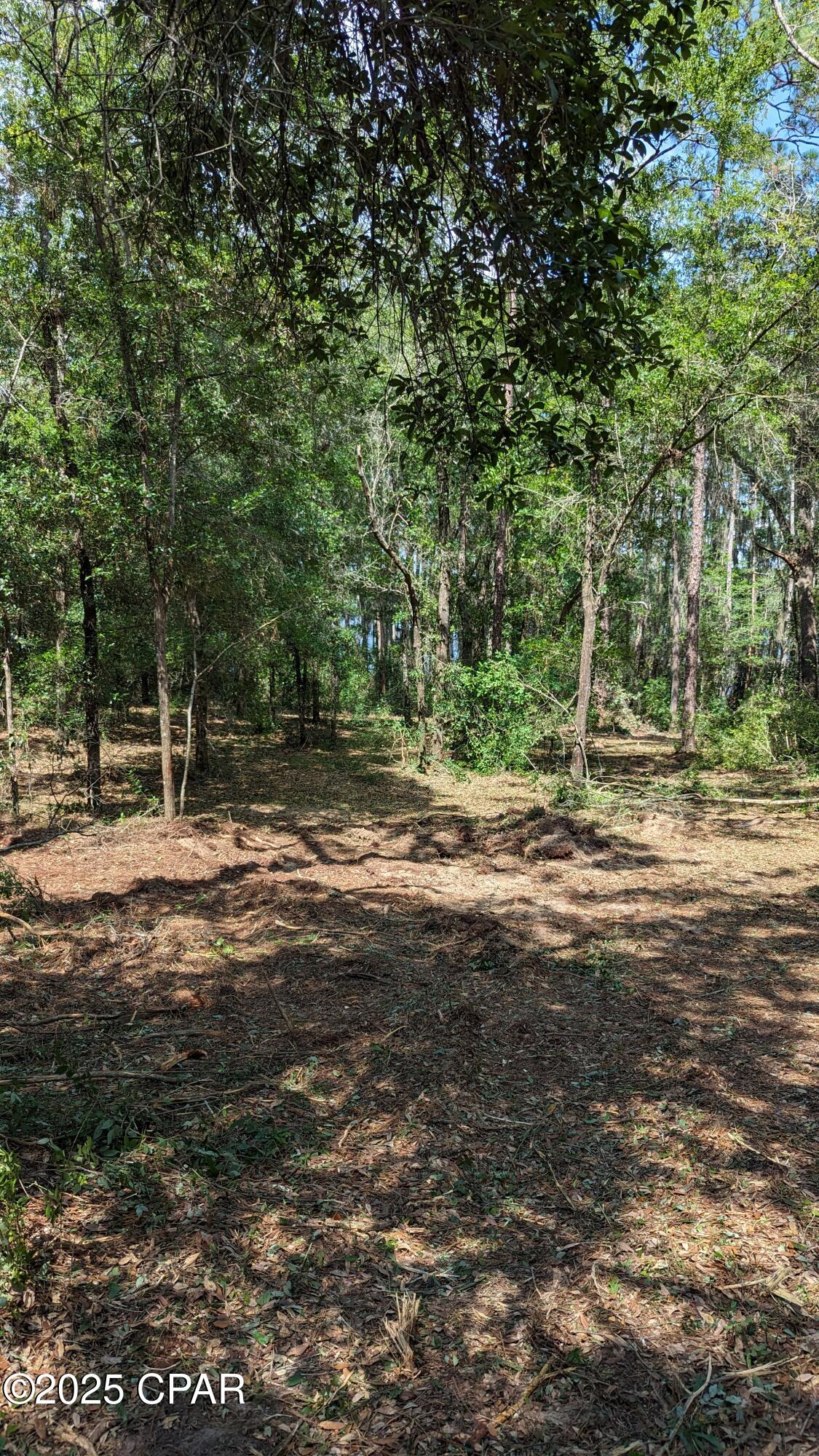 0 Moss Hill Road Chipley, FL 32428 - Photo 4 of 4