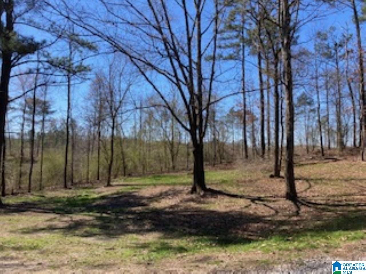 1116 Bailey Springs Road Ohatchee, AL 36271 - Photo 8 of 24