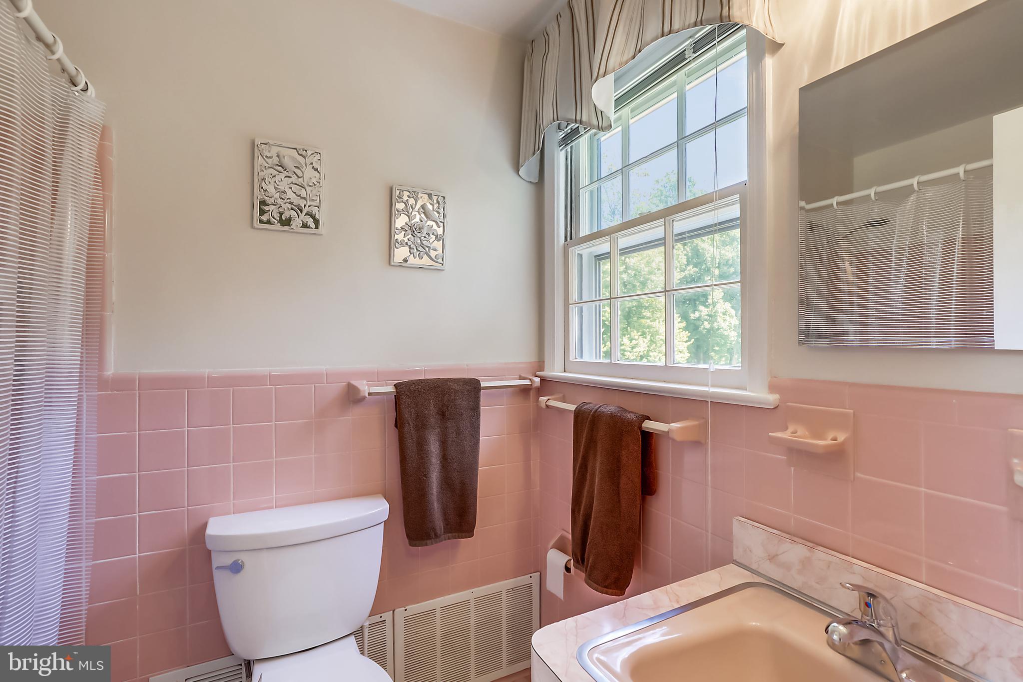 10740 River Road Potomac, MD 20854 - Photo 26 of 64 Master bah with shower