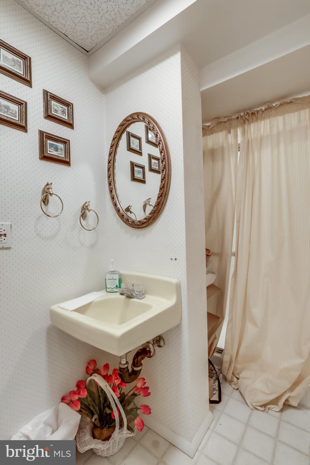 10740 River Road Potomac, MD 20854 - Photo 37 of 64 Lower level with shower