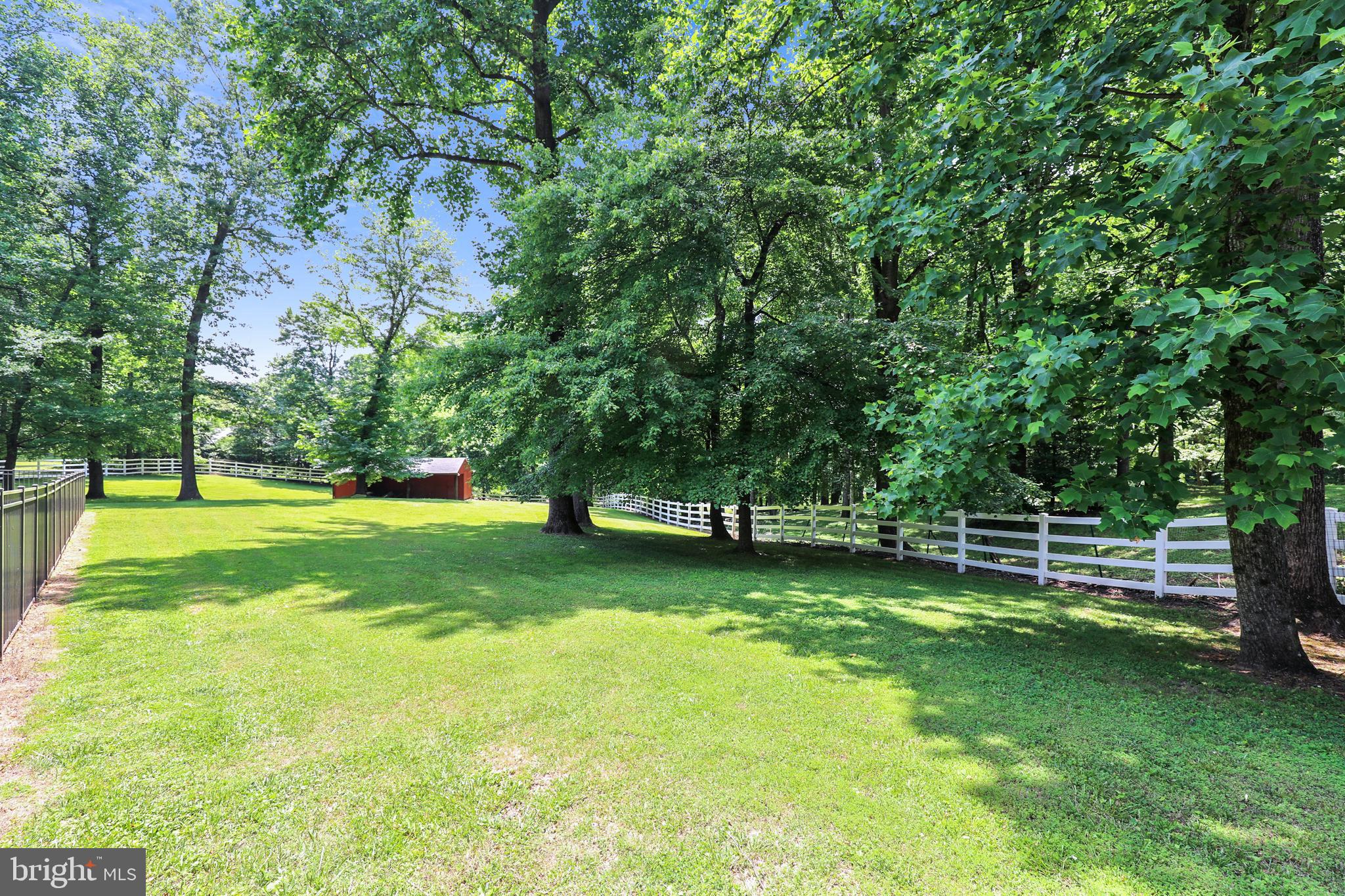 10740 River Road Potomac, MD 20854 - Photo 46 of 64 Beautiful back garden w/gorgeous trees & stable