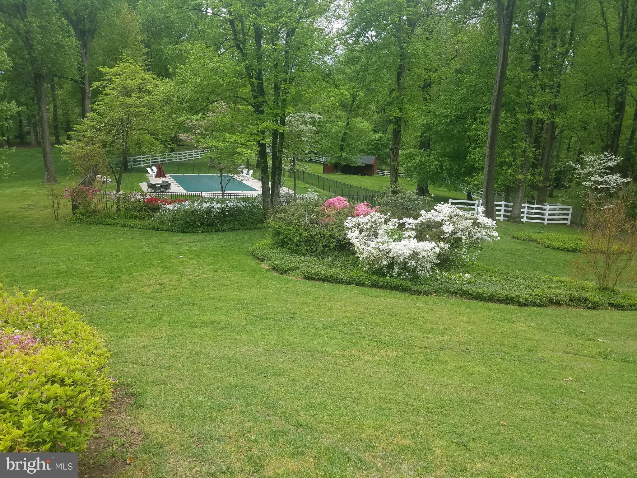 10740 River Road Potomac, MD 20854 - Photo 54 of 64 azaleas in bloom