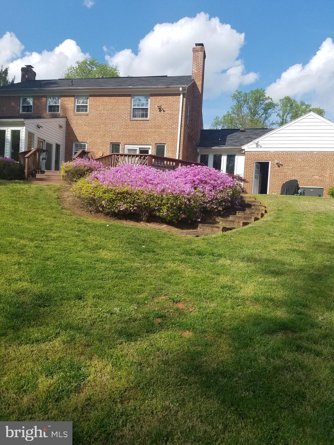 10740 River Road Potomac, MD 20854 - Photo 55 of 64 Such beautiful azaleas