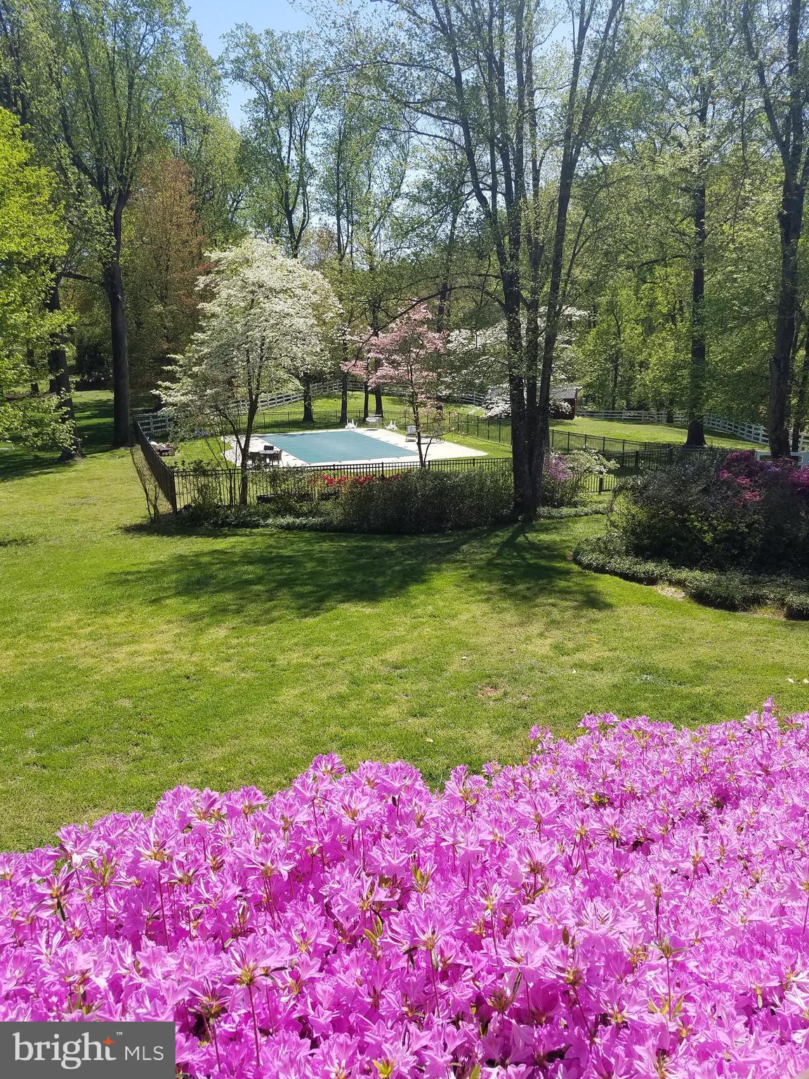 10740 River Road Potomac, MD 20854 - Photo 56 of 64 Color, color everywhere!