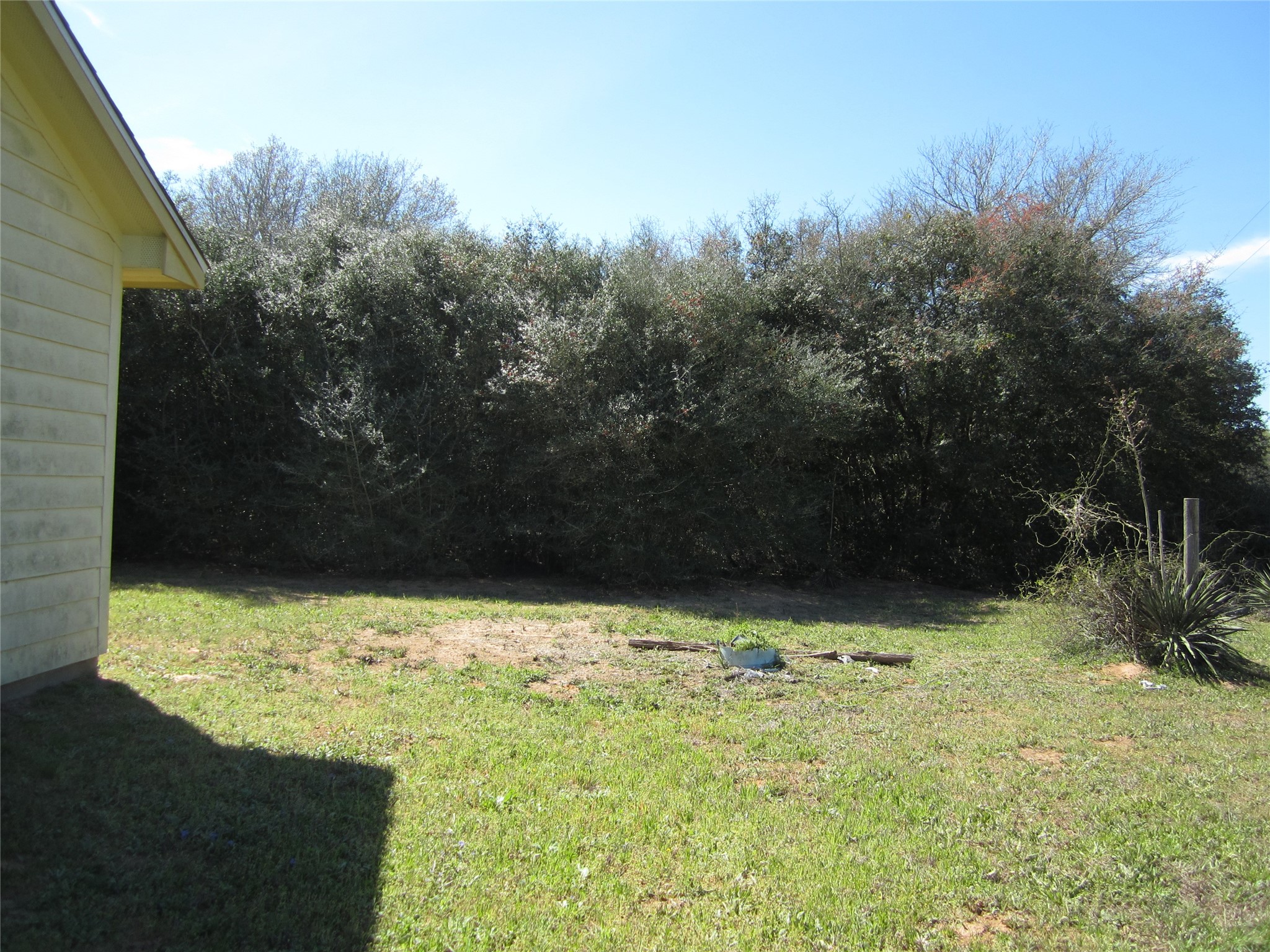 20697 Pierceall Road Hempstead, TX 77445 - Photo 30 of 35 This photo shows a backyard area with a grassy lawn and dense trees providing privacy. Part of a house is visible on the left, and the yard offers a natural backdrop. Ideal for outdoor activities and relaxation.