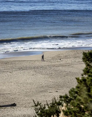 a park view with a fountain