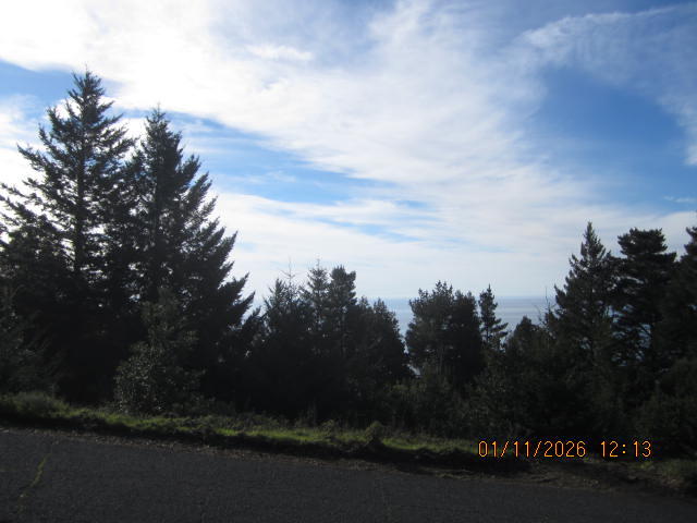 2715 Toth Road Shelter Cove, CA 95589 - Photo 12 of 27 IMG_0762