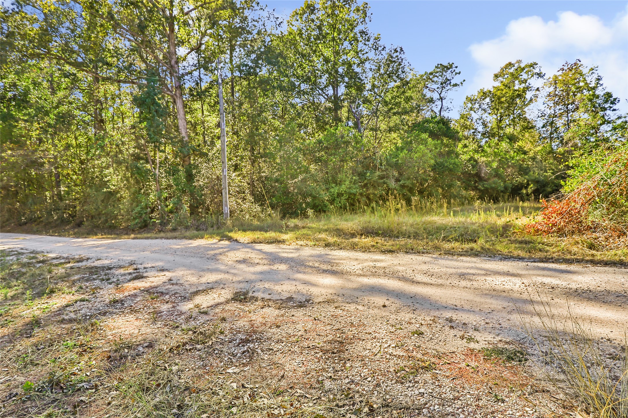 1224 Plum Pudding Road Livingston, TX 77351 - Photo 3 of 11