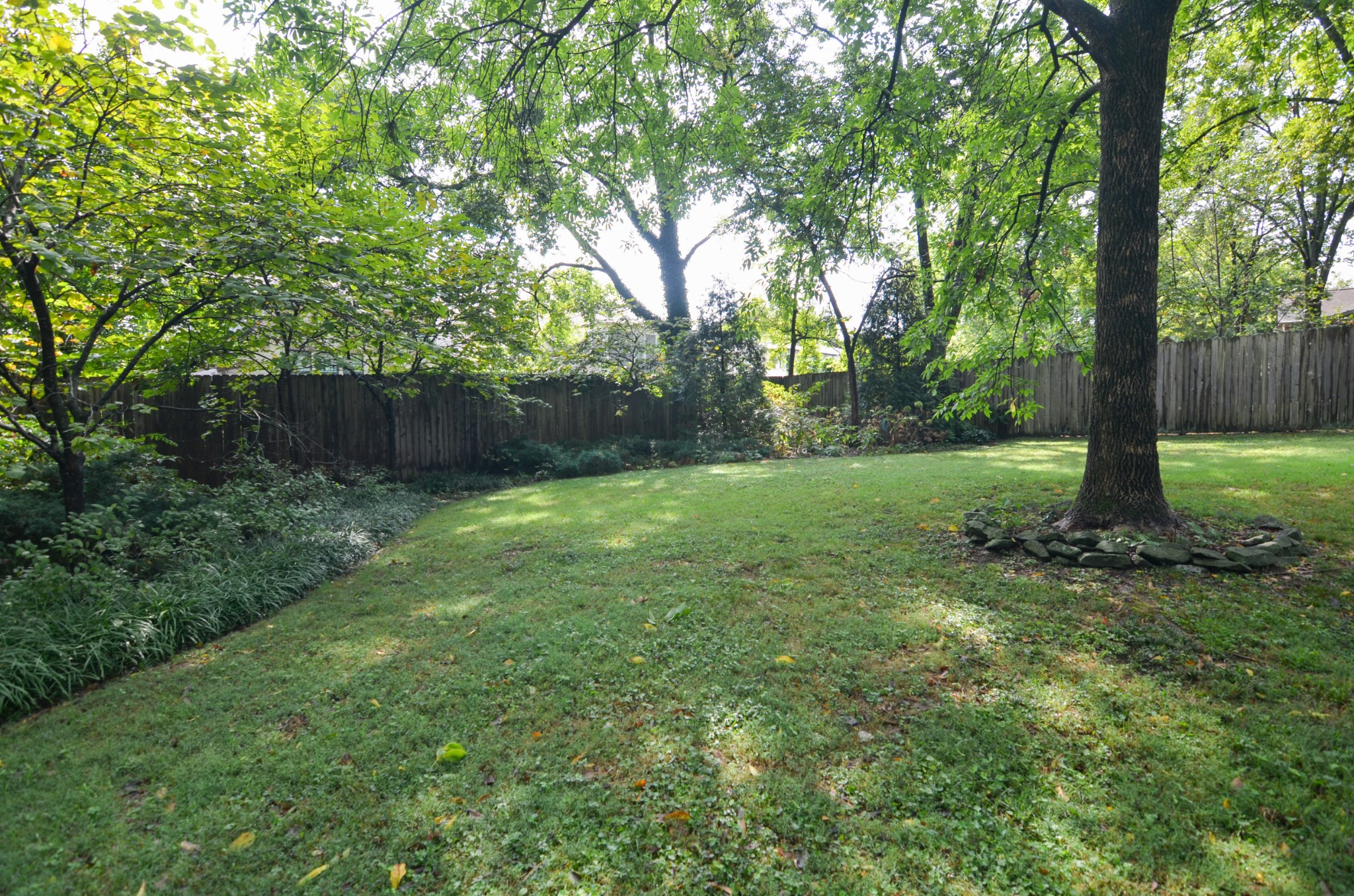 3434 Stokesmont Road Nashville, TN 37215 - Photo 29 of 29 a view of a tree in a yard