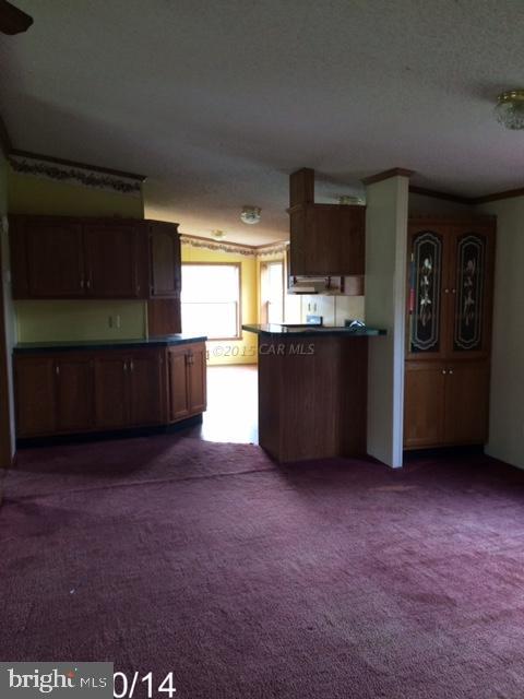 31901 Mitchell Road Princess Anne, MD 21853 - Photo 4 of 13
