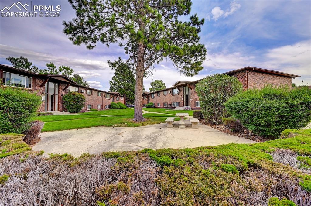 6633 Dublin Loop West, Unit 4 Colorado Springs, CO 80918 - Photo 13 of 33 a view of a house with a small yard plants and a large tree