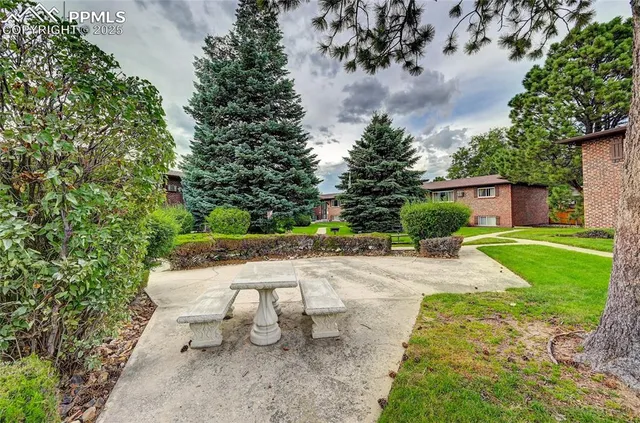 a view of a backyard with table and chairs plants and large trees