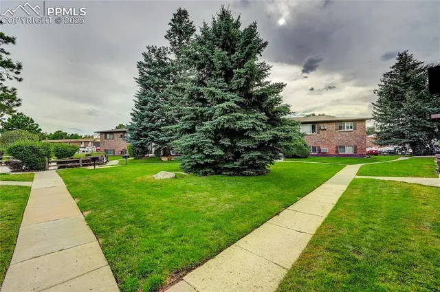 a view of a backyard with large trees