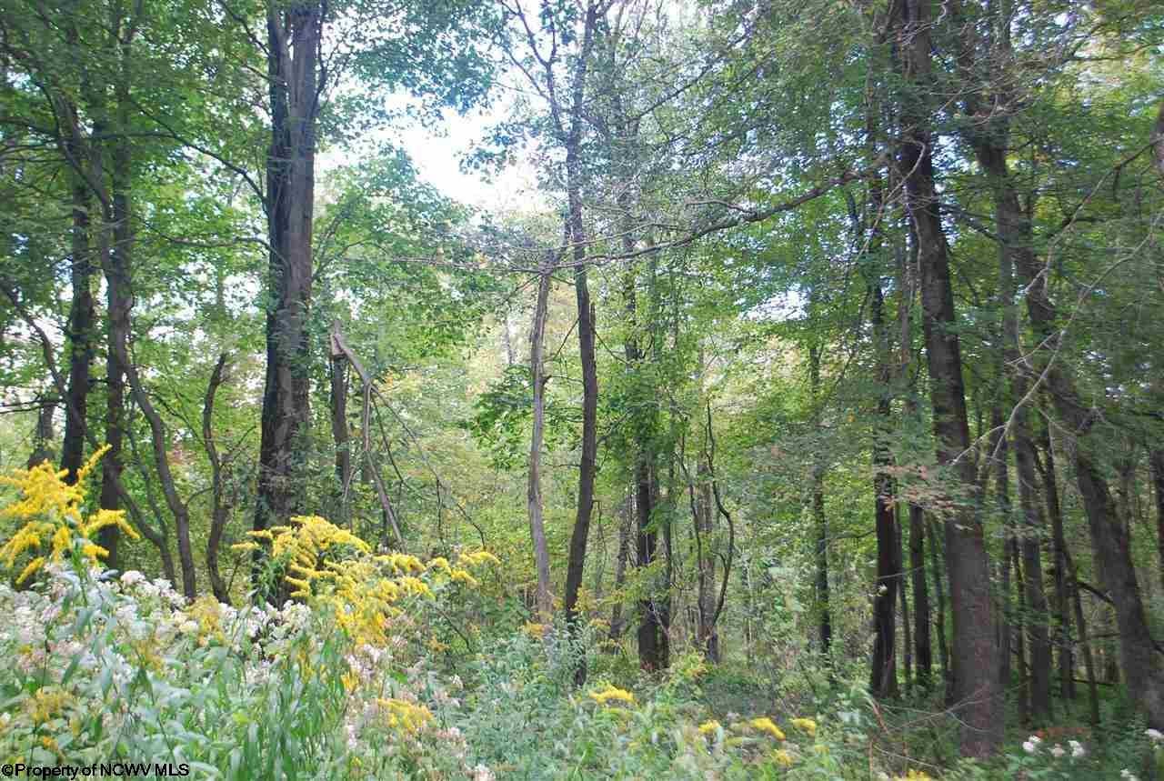 2 Cranesville Road Terra Alta, WV 26764 - Photo 15 of 19 Gallery Image 15
