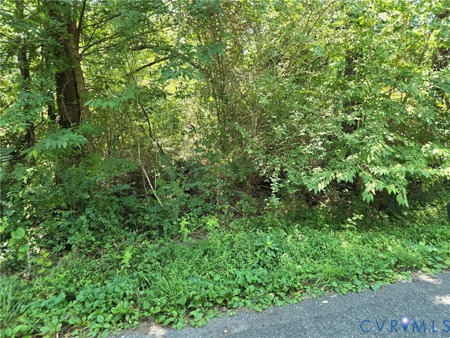 a view of a lush green forest