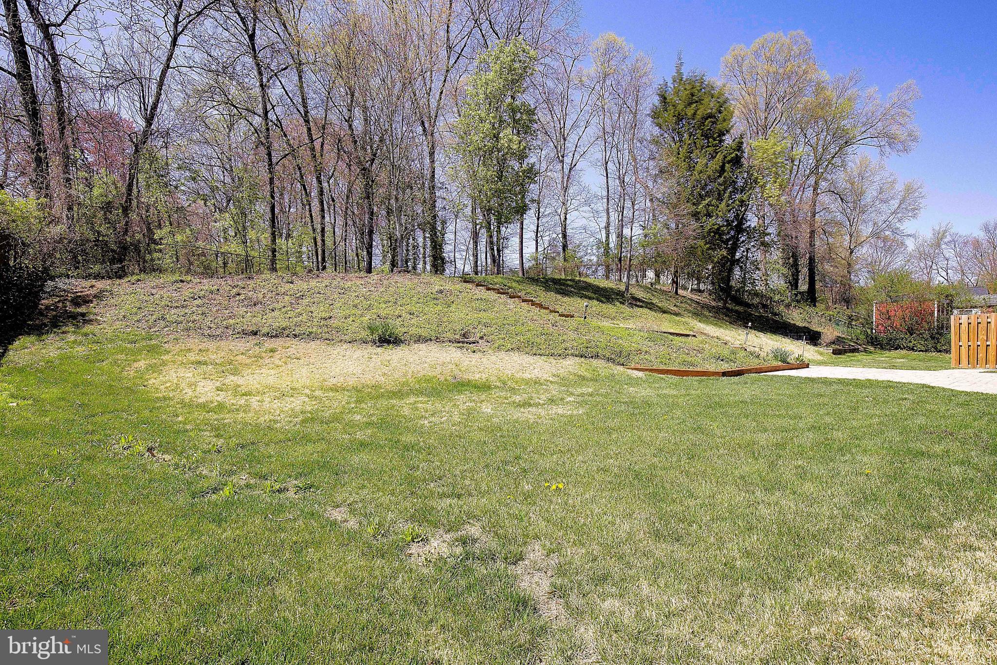 12702 Cedarbrook Lane Laurel, MD 20708 - Photo 38 of 43 a view of a yard with palm trees