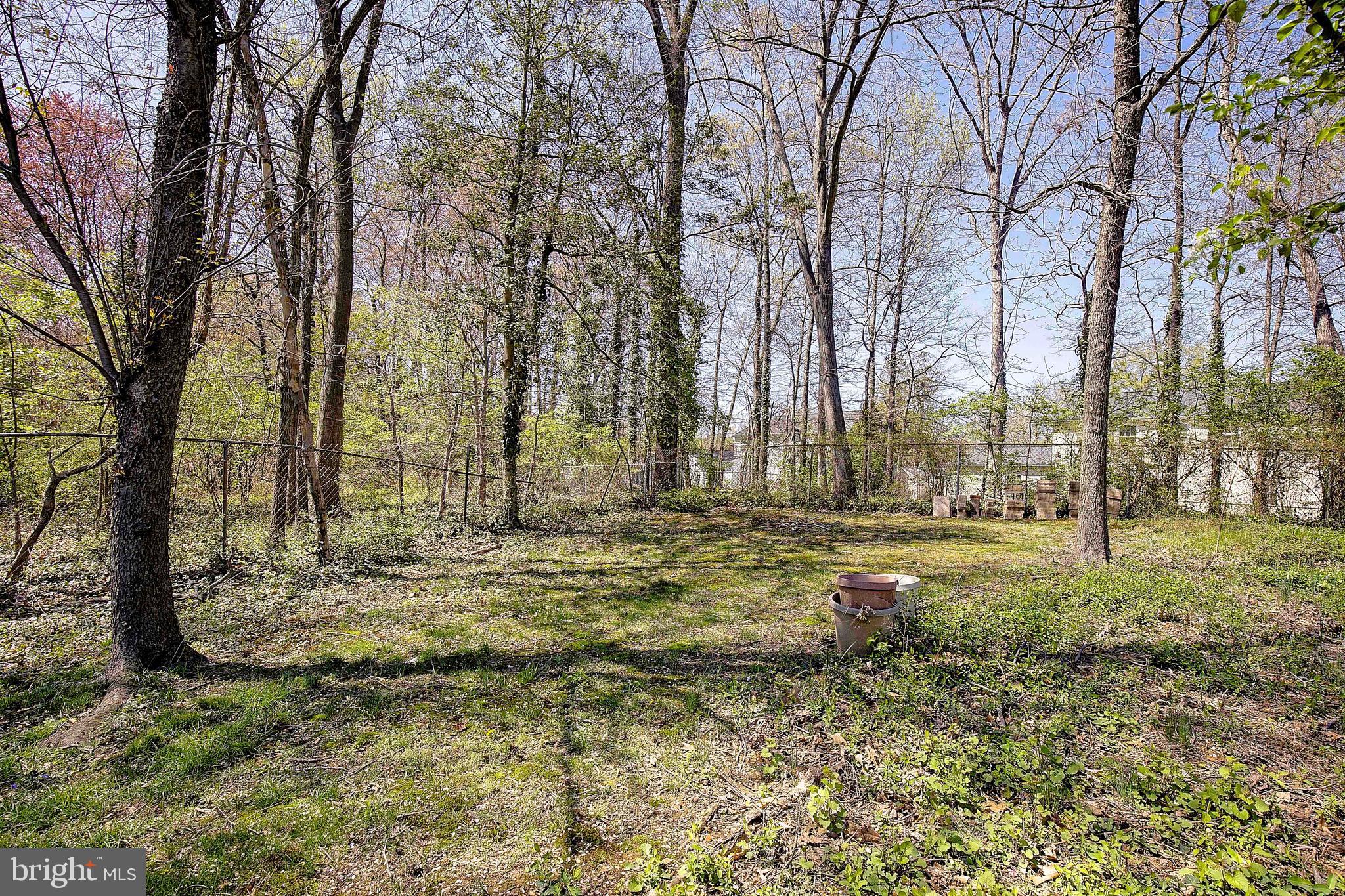 12702 Cedarbrook Lane Laurel, MD 20708 - Photo 42 of 43 a view of a yard with a tree