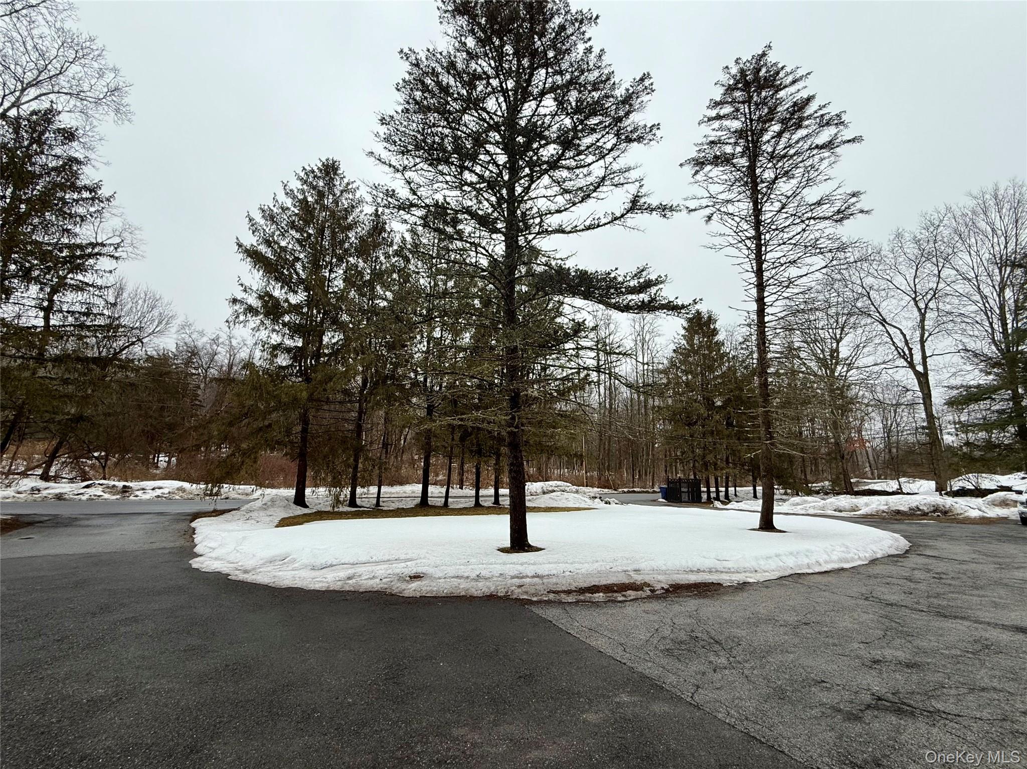 102 Fallkill Road, Unit 1W Hyde Park, NY 12538 - Photo 16 of 21 a park view with tree s