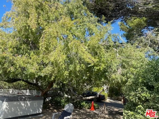 a view of outdoor space and yard