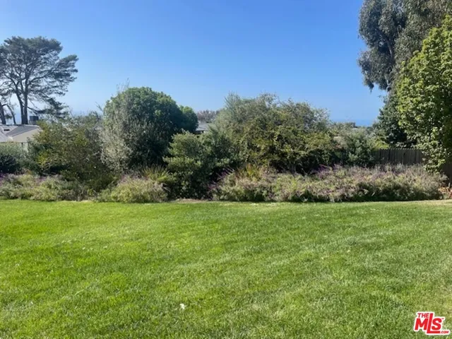 a view of grassy field with trees in the background