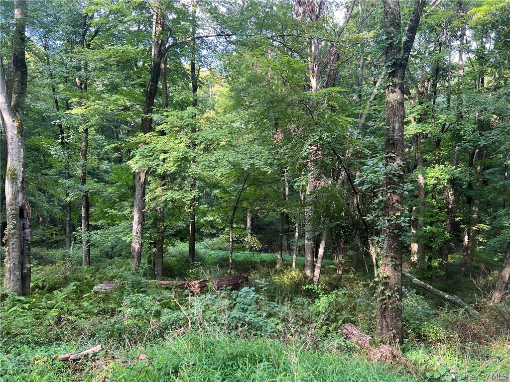 319 Pound Ridge Road Bedford, NY 10506 - Photo 11 of 12 Additional Buildable Lot