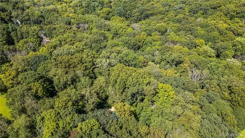 a view of a big yard with plants and large trees