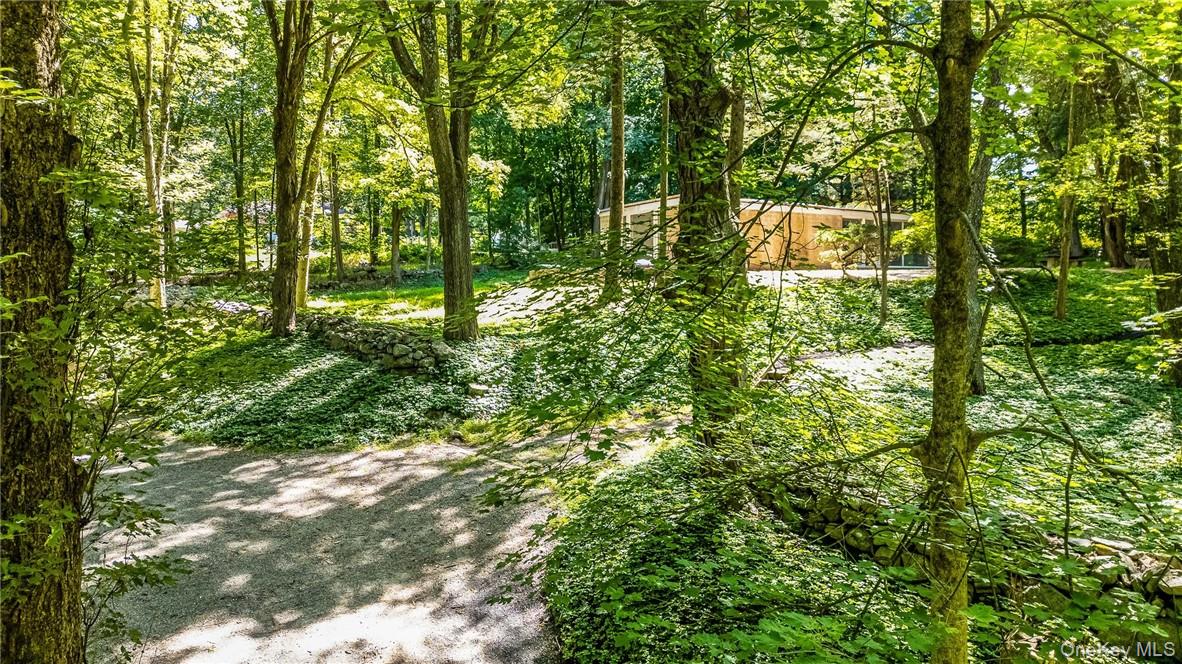 319 Pound Ridge Road Bedford, NY 10506 - Photo 9 of 12 View from the drive up to the property