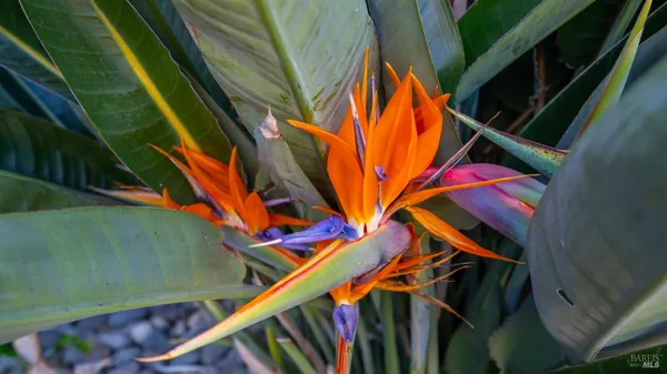 $635,000 | 191 Bel Air Drive, Vacaville, CA 95687