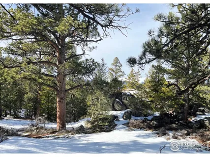 a view of a backyard with table and chairs