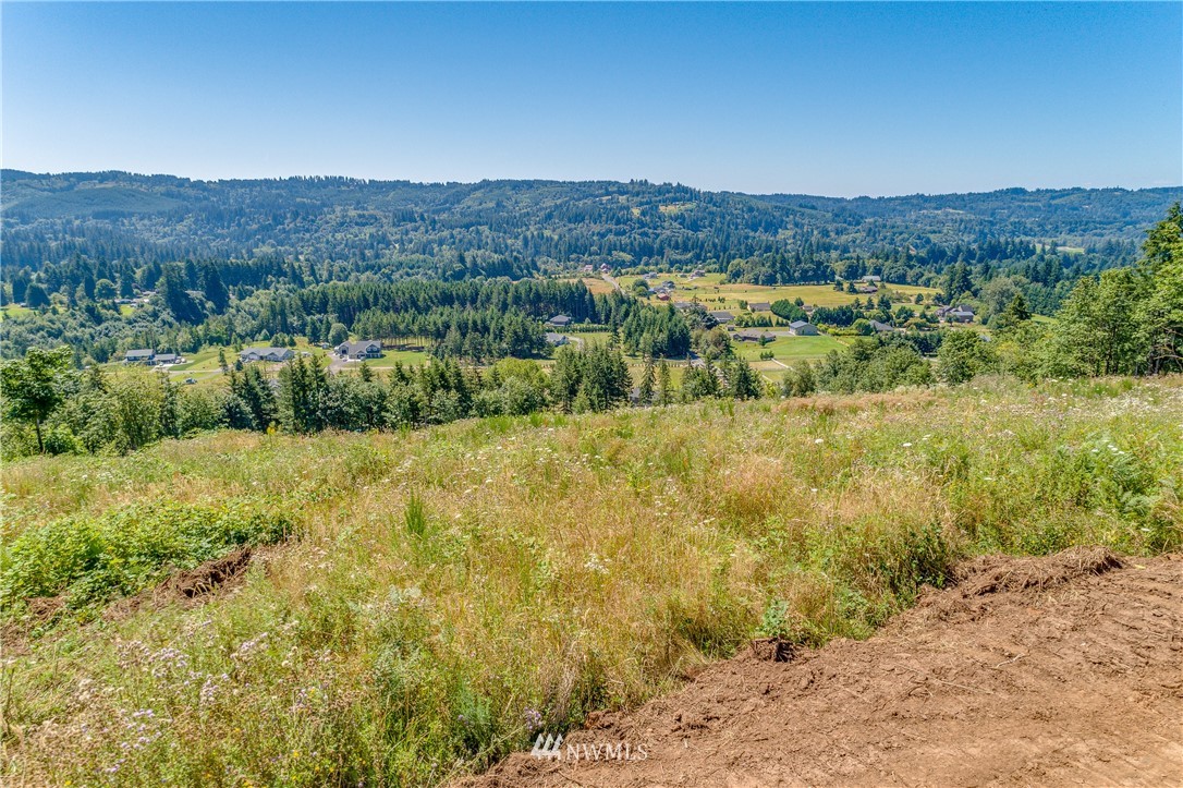 375 Hansen Ext Road, Unit 4 Woodland, WA 98674 - Photo 17 of 20 Gallery Image 17