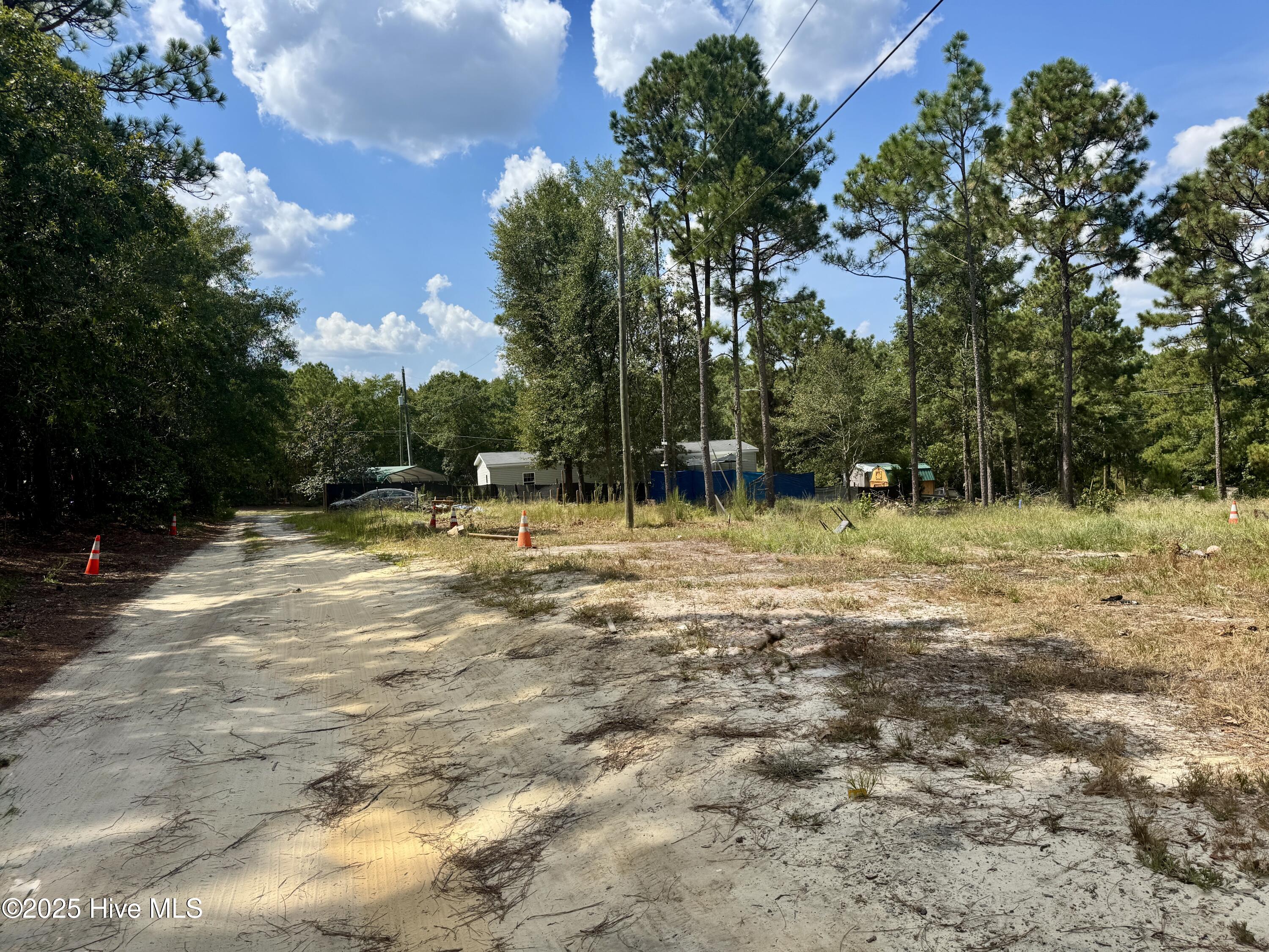 0 Wiregrass Road Hamlet, NC 28345 - Photo 4 of 5 IMG_9882