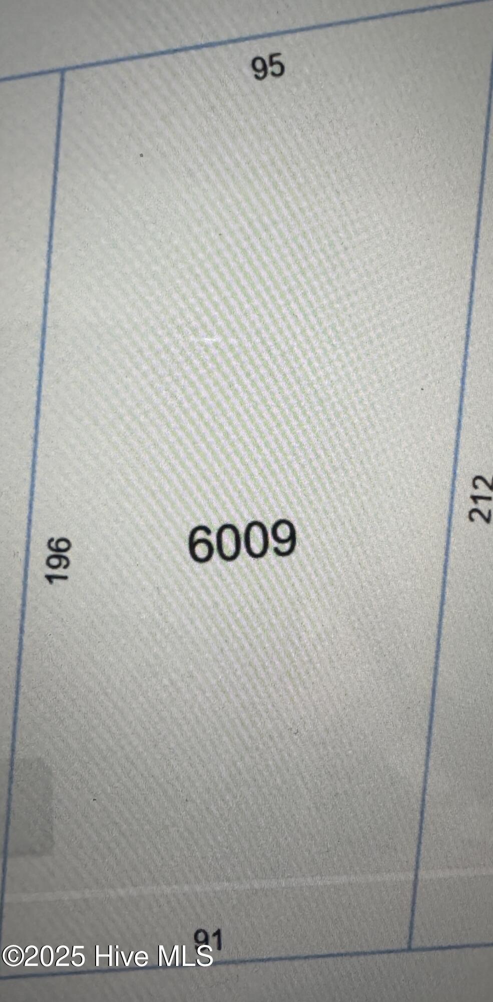 0 Wiregrass Road Hamlet, NC 28345 - Photo 5 of 5 IMG_9870