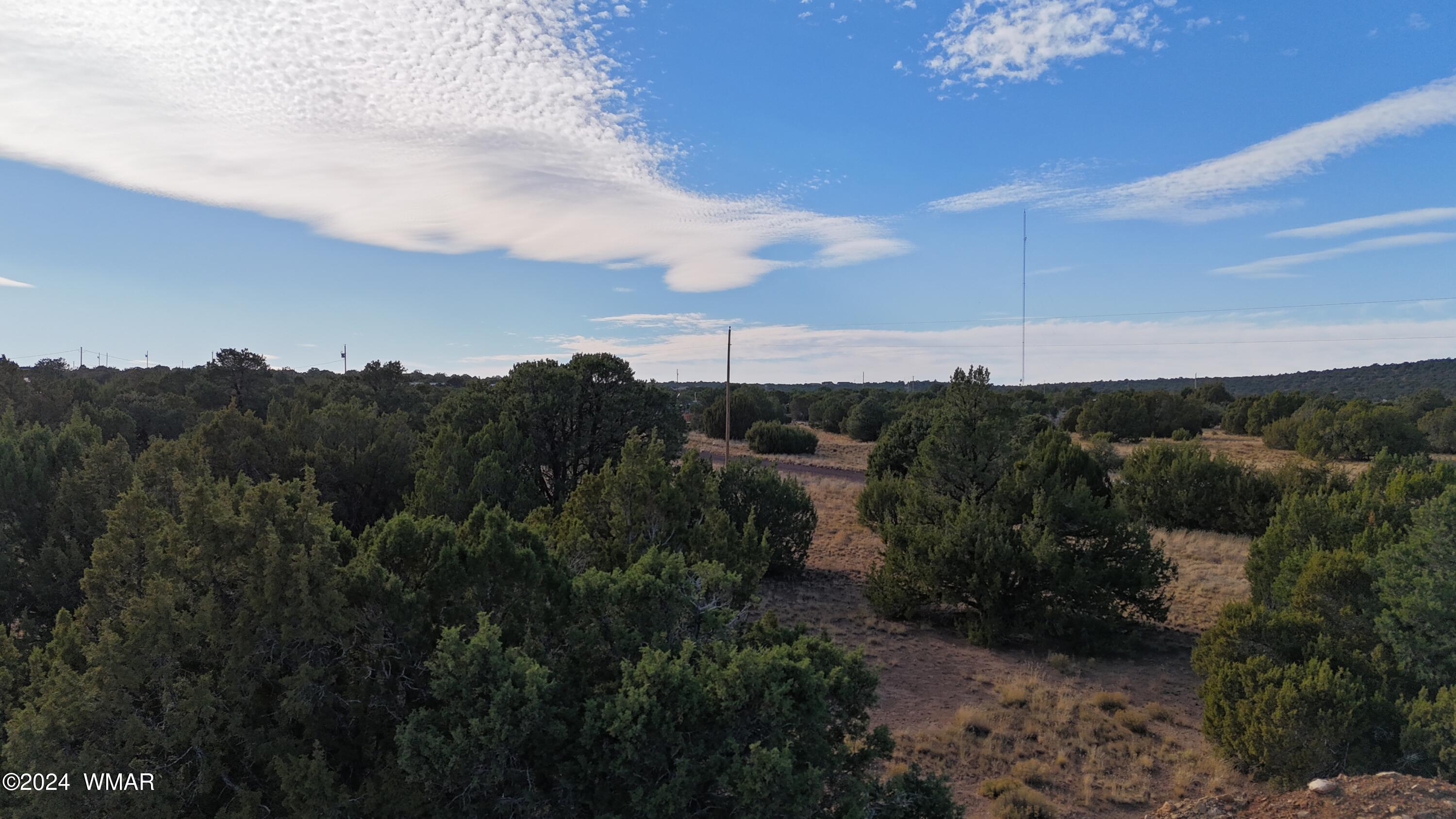 28 Co Road Concho, AZ 85924 - Photo 11 of 12 DJI_20241101160352_0090_D