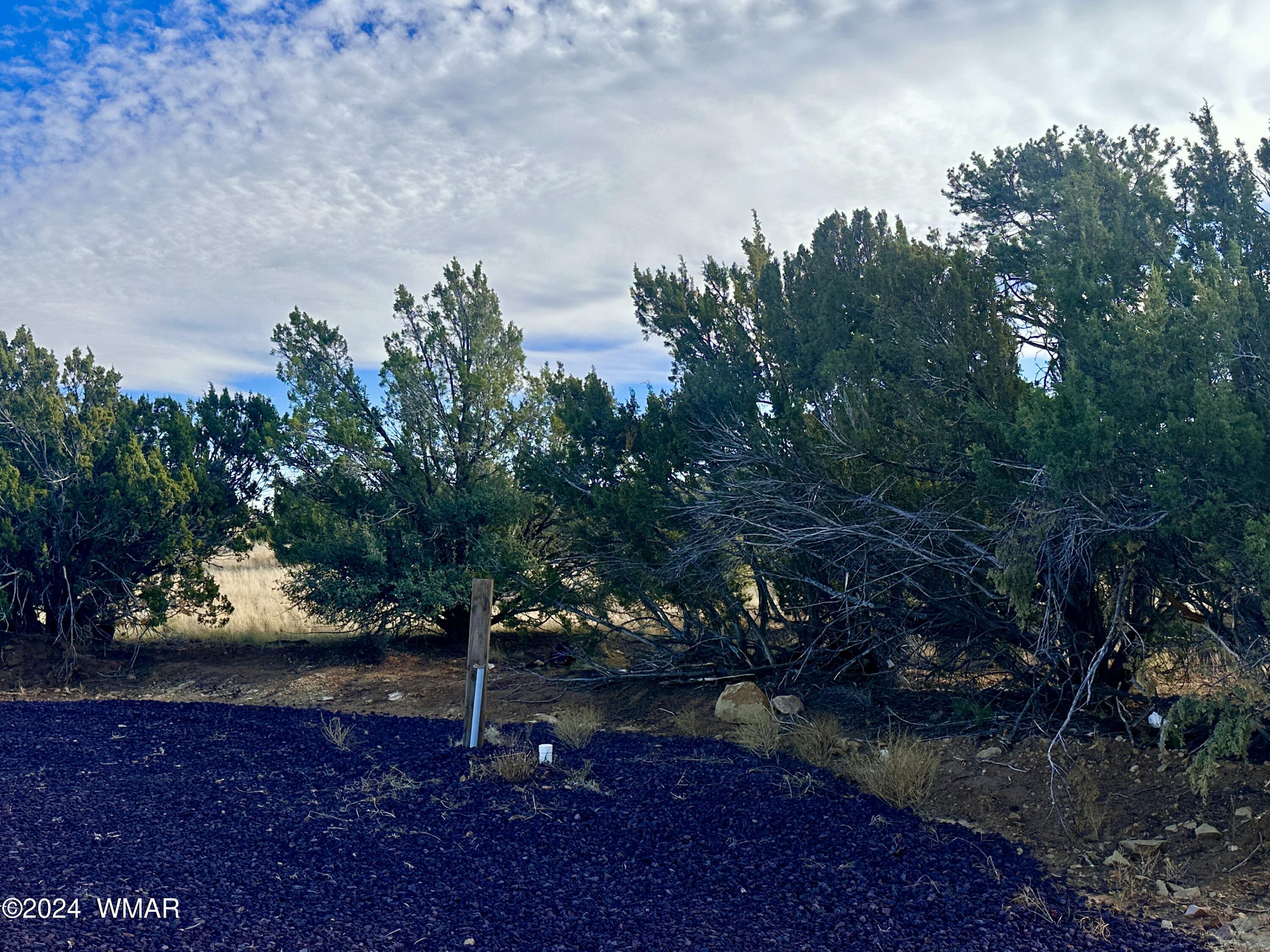 28 Co Road Concho, AZ 85924 - Photo 6 of 12 FullSizeRender