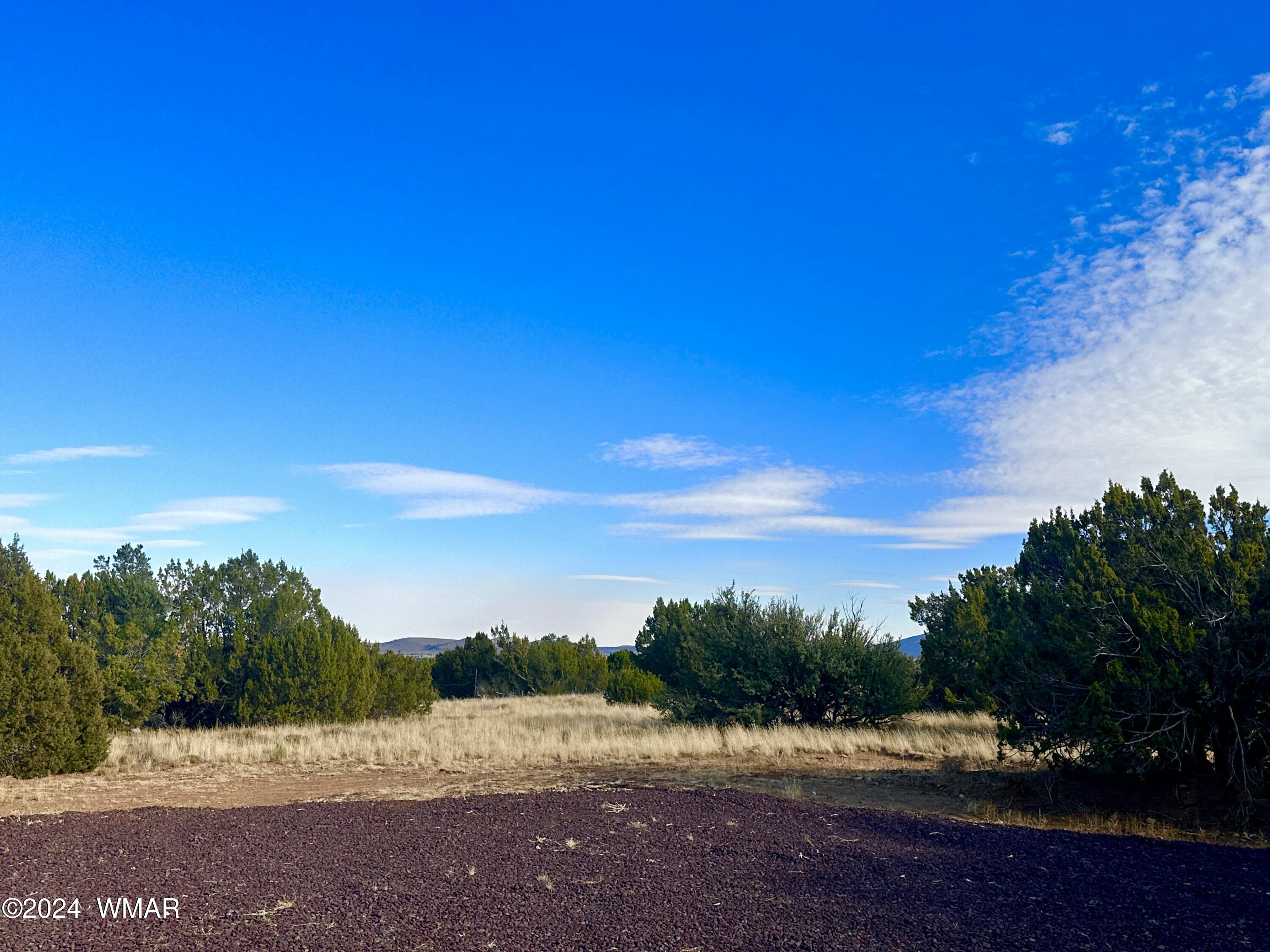 28 Co Road Concho, AZ 85924 - Photo 7 of 12 FullSizeRender