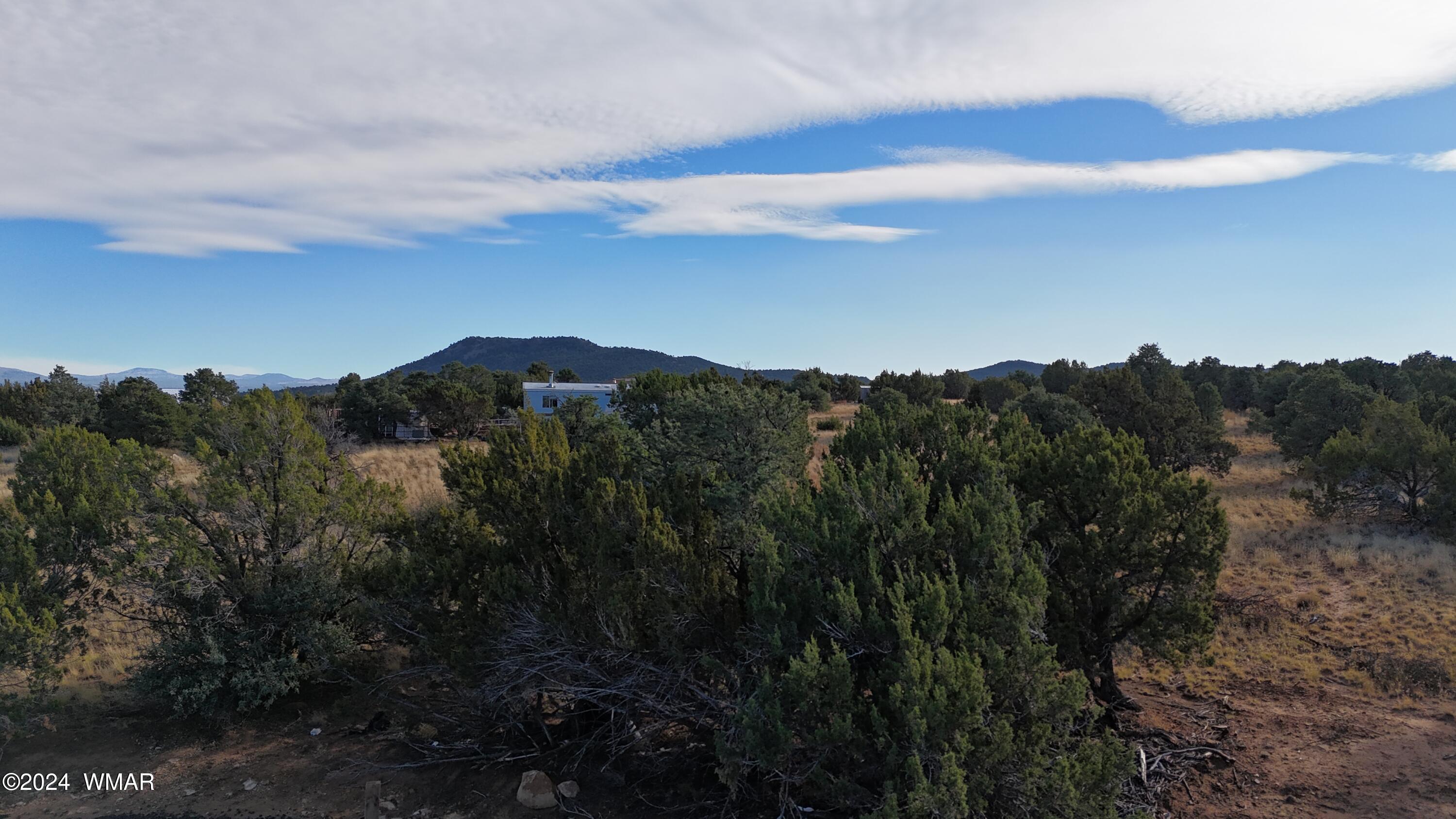 28 Co Road Concho, AZ 85924 - Photo 10 of 12 DJI_20241101160346_0089_D