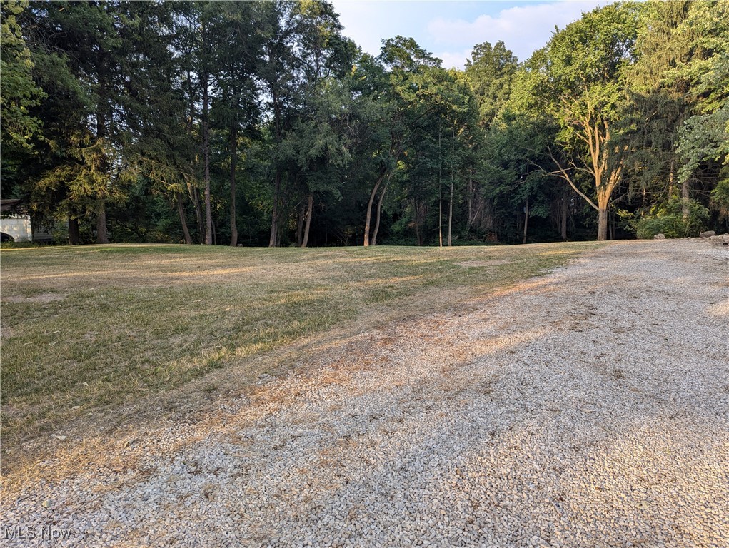 8265 Stow Road Hudson, OH 44236 - Photo 3 of 23 View of road