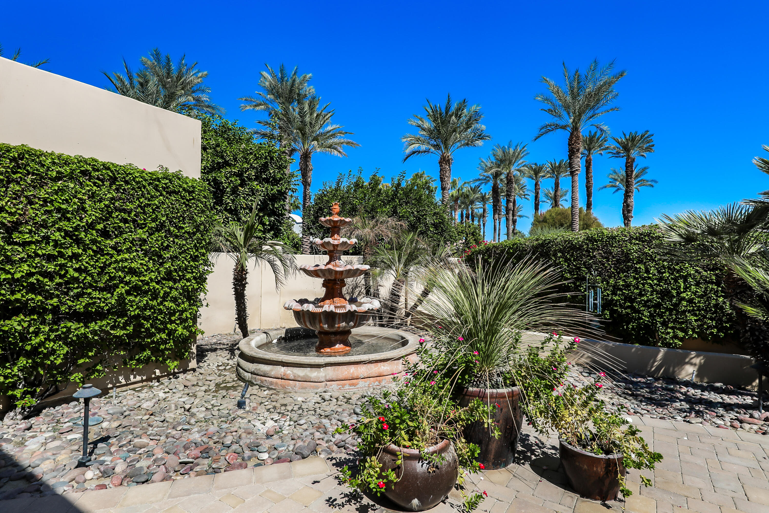 50360 Woodmere La Quinta, CA 92253 - Photo 43 of 56 a picture of plants