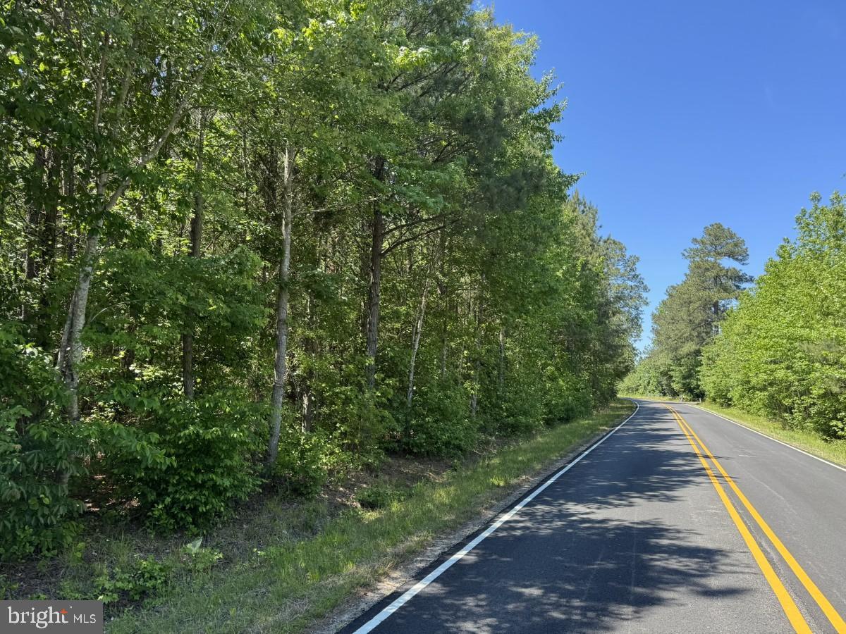 1 Salisbury Road Spring Grove, VA 23881 - Photo 12 of 18