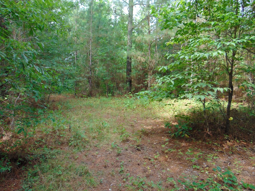 0 Pinhook Road Delano, TN 37325 - Photo 27 of 35