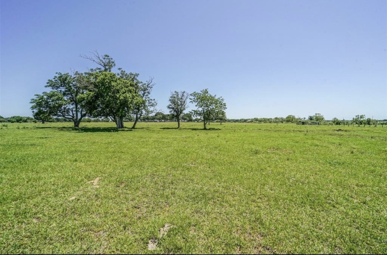 11811 Schmidt Road Waller, TX 77484 - Photo 6 of 7 a yard with lots of green space and trees all around