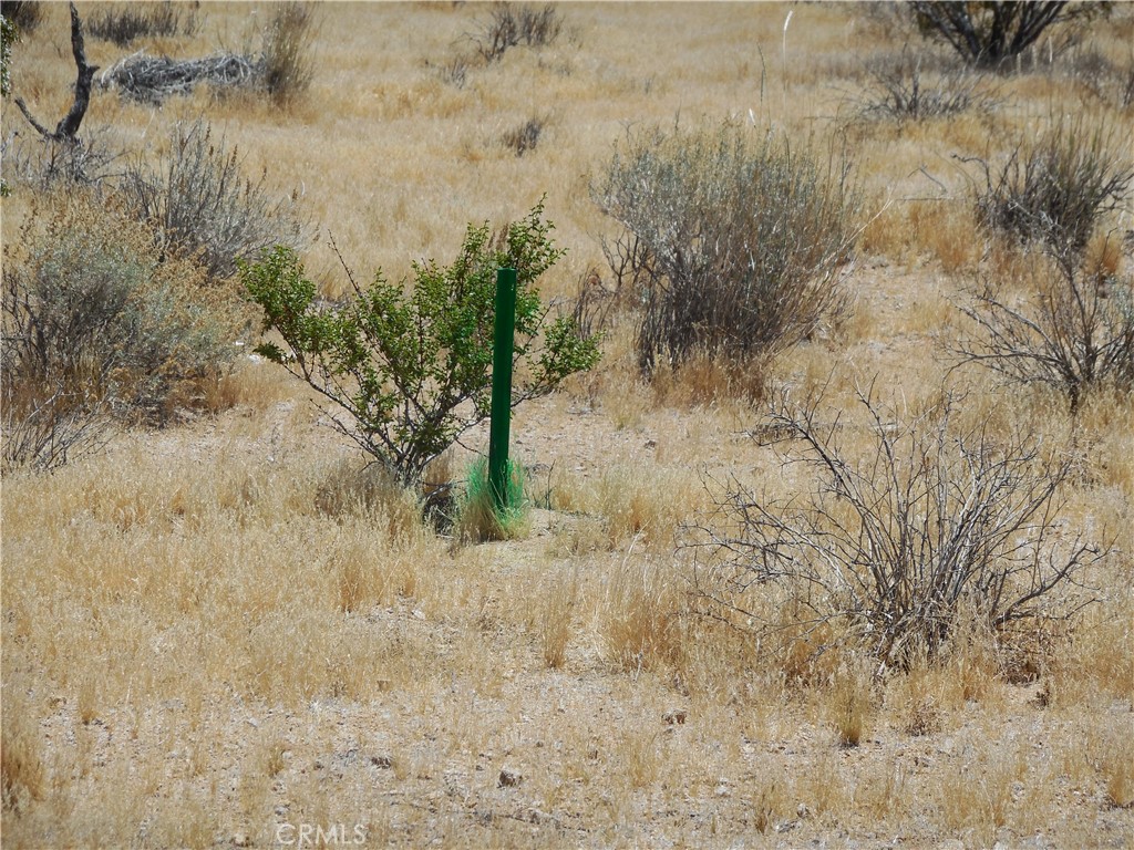 22000 Cattleman Road Lucerne Valley, CA 92356 - Photo 3 of 4