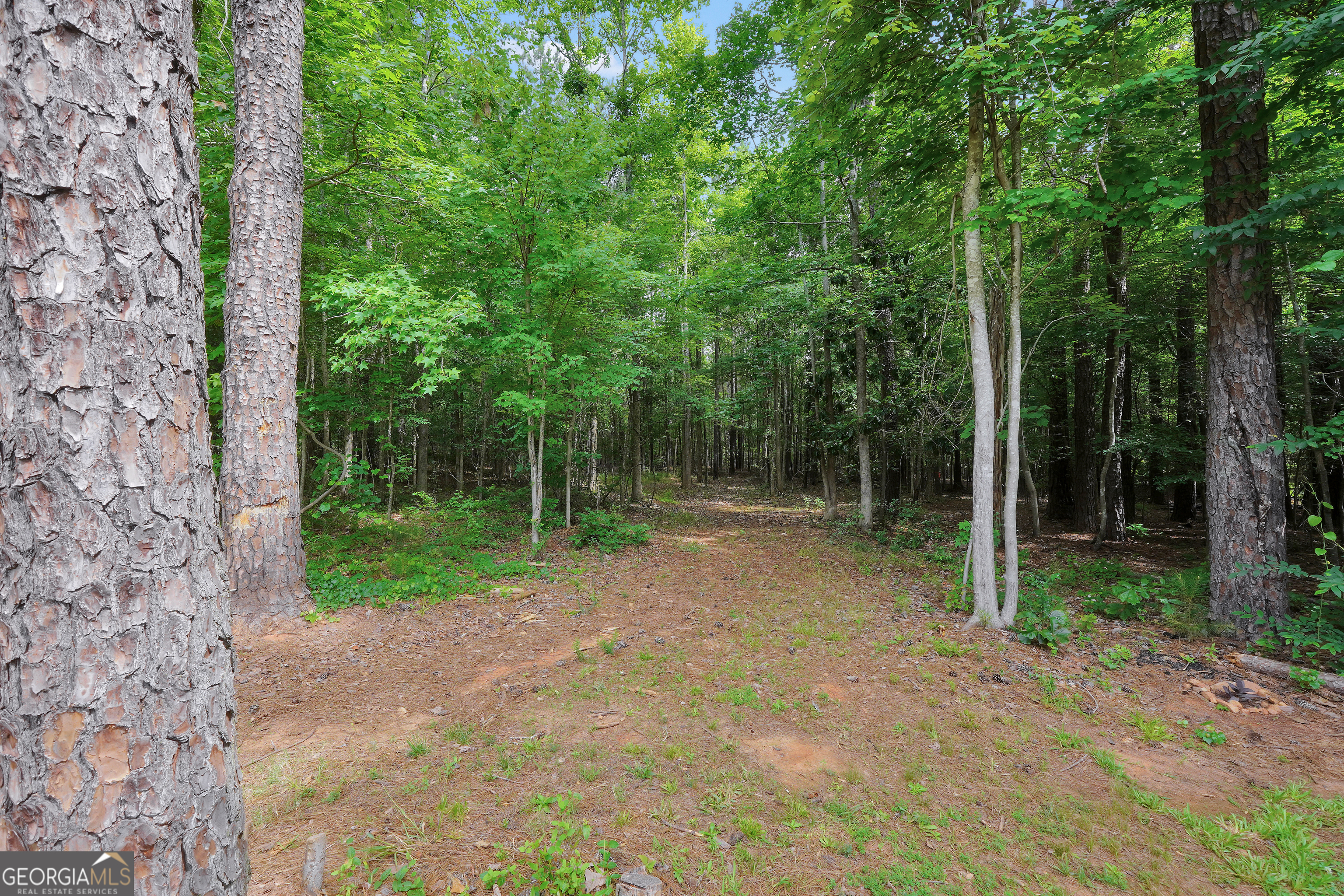 1577 Stark Road Jackson, GA 30233 - Photo 48 of 49