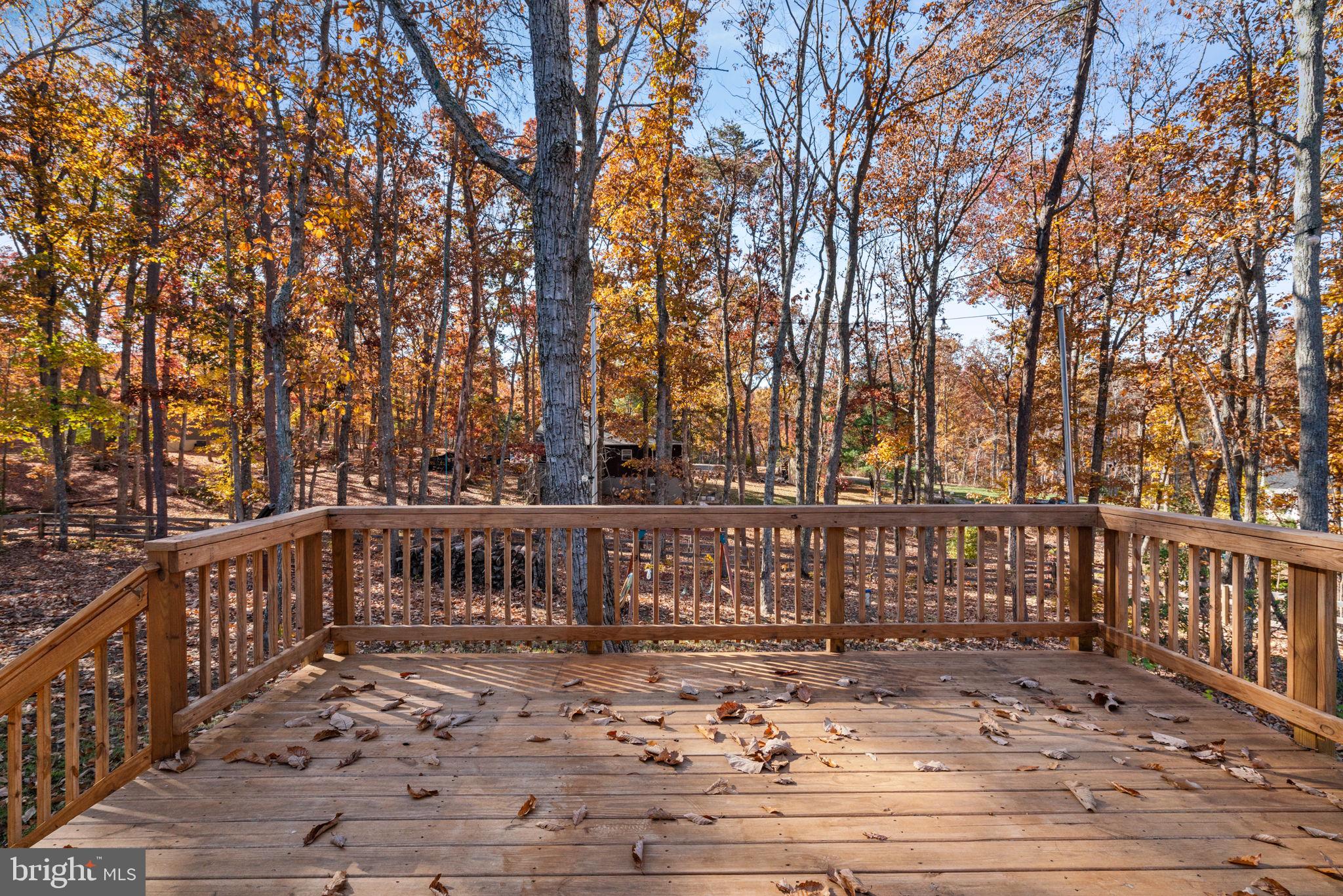 55 Cedar Circle Mineral, VA 23117 - Photo 11 of 44 a view of a deck with wooden floor and fence