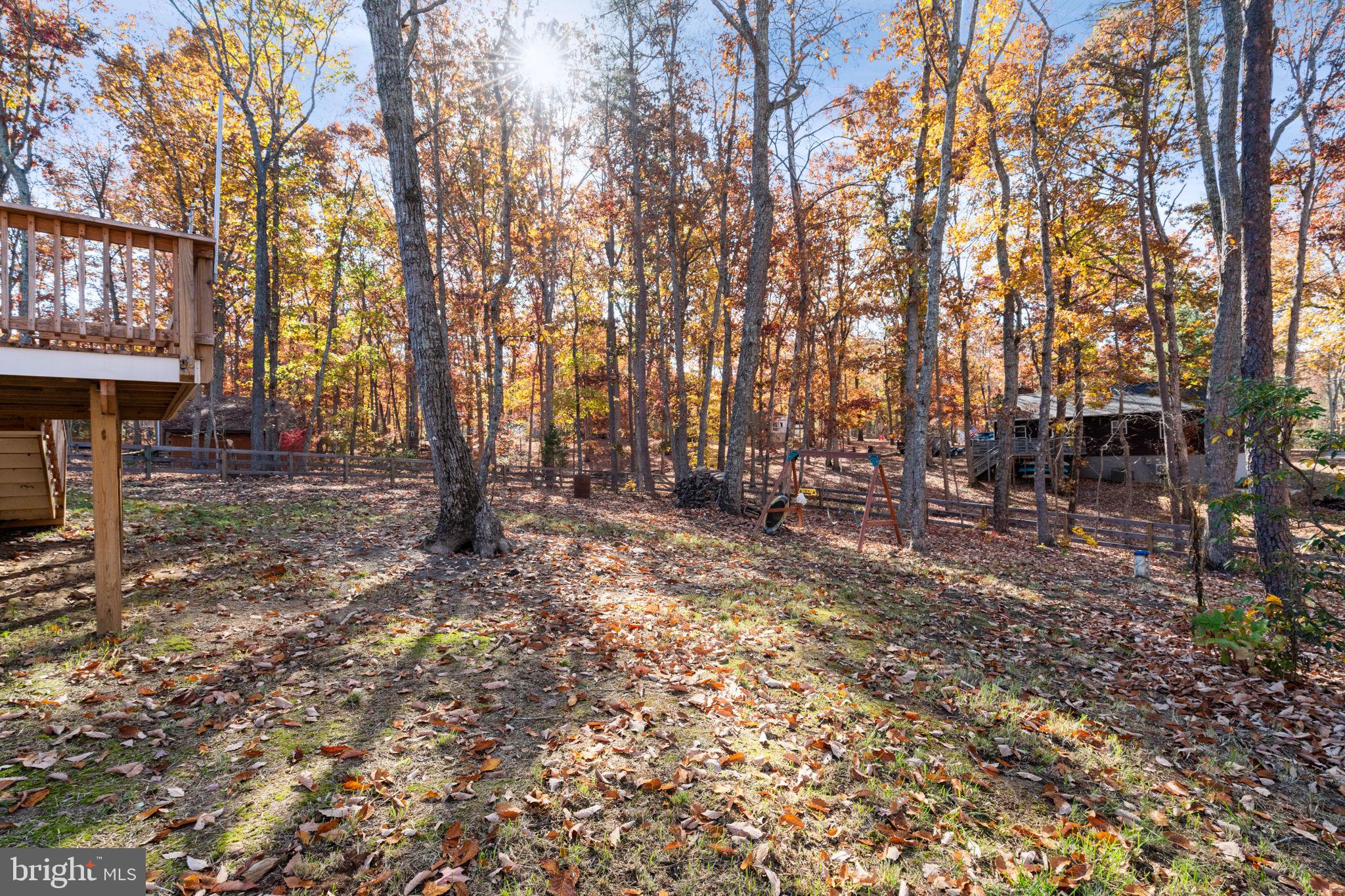55 Cedar Circle Mineral, VA 23117 - Photo 12 of 44 a view of outdoor space with lots of trees